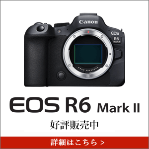 EOS R6 Mark II