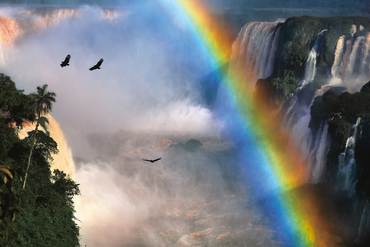 キヤノンカレンダー22年版販売ページ キヤノンオンラインショップ