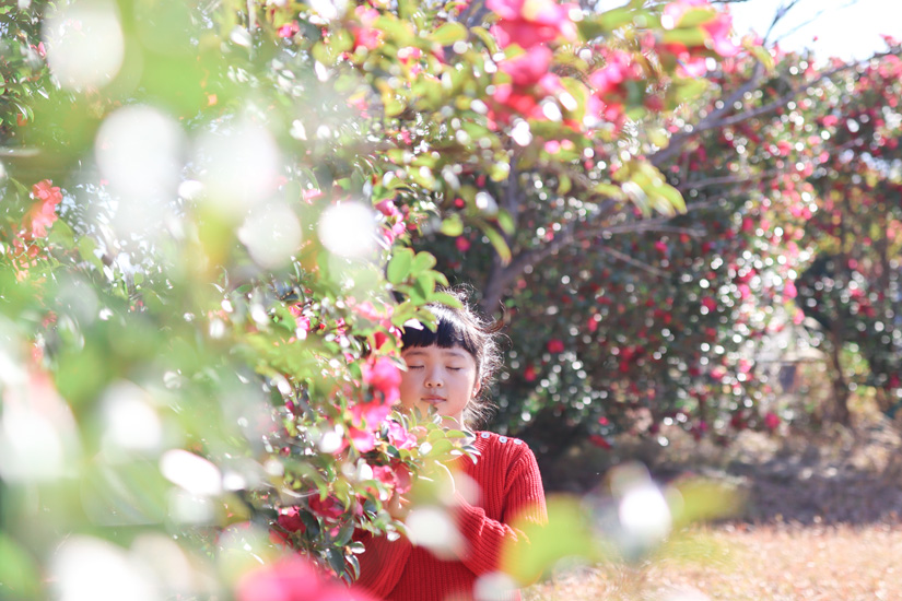 EOS Kiss X10i Beʐ^5