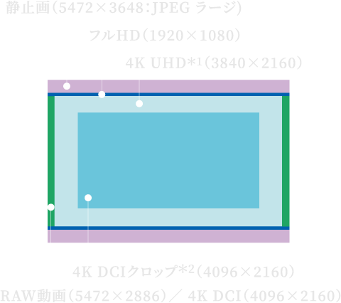 Canon - [期間限定10%割引] Canon 1DX 本体 バッテリ１個 CFカード 付属 Amazon | SIXOCTAVE キヤノン NB-10L 互換バッテリー Power Shot