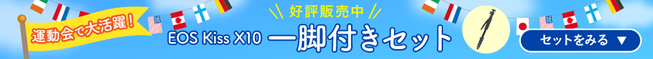 今なら一脚セットがおすすめ!