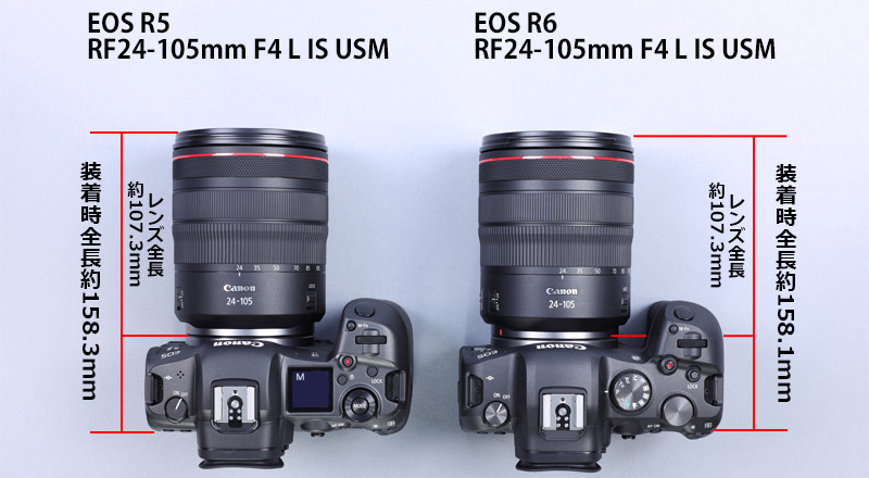 キヤノン ミラーレスカメラ EOS R5 / EOS R6のサイズを比較してみた 