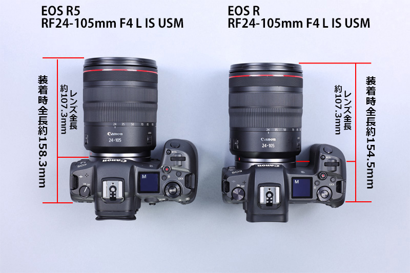 キヤノン ミラーレスカメラ EOS R5 / EOS R6のサイズを比較してみた 