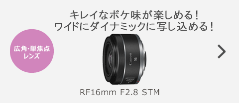 初めての方向け～交換レンズの選び方｜キヤノンオンラインショップ