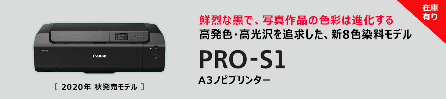 PRO-S1