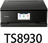 TS8930