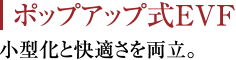 |bvAbvEVF ^ƉK𗼗B