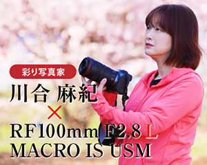 ʂʐ^Ɓ@썇I~RF100mm F2.8 L MACRO IS USM