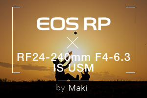 EOS RP×RF24-240mm F4-6.3 IS USM
