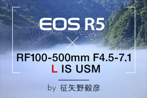 EOS R5×RF100-500mm F4.5-7.1 L IS USM