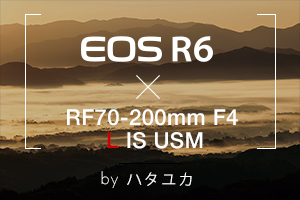 EOS R6×RF70-200mm F4 L IS USM