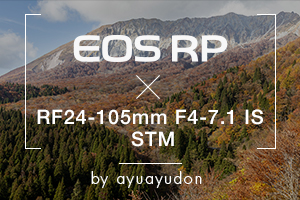 EOS RP×RF24-105mm F4-7.1 IS STM