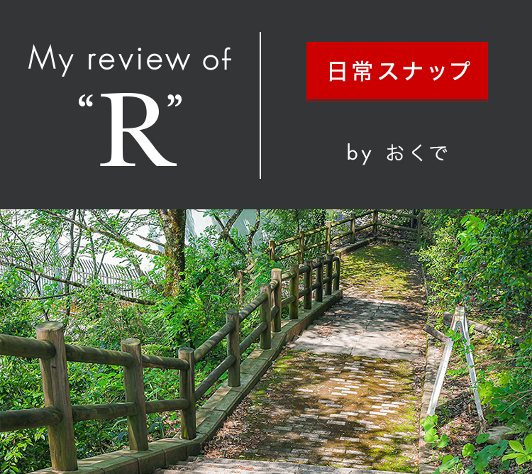 EOS R×RF50mm F1.8 STM レビュー 「日常スナップ」を撮影してみた