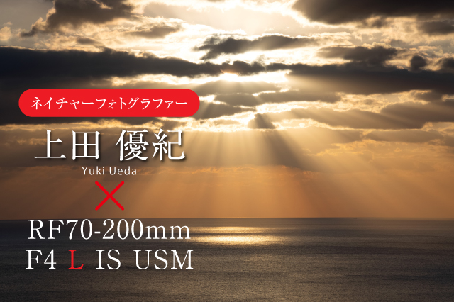 キヤノンRF70-200mm F4 L IS USMフォトグラファー・レビュー｜キヤノン