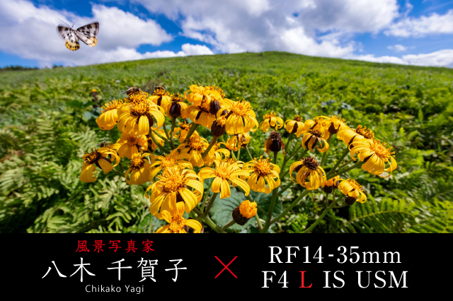 キヤノンRF14-35mm F4 L IS USMフォトグラファー・レビュー｜キヤノン