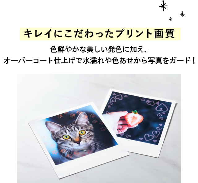 『ミント』SELPHY SQUARE QX10 ラベル2つ ミント』SELPHY SQUARE QX10 ラベル2つ ミント』SELPHY SQUARE