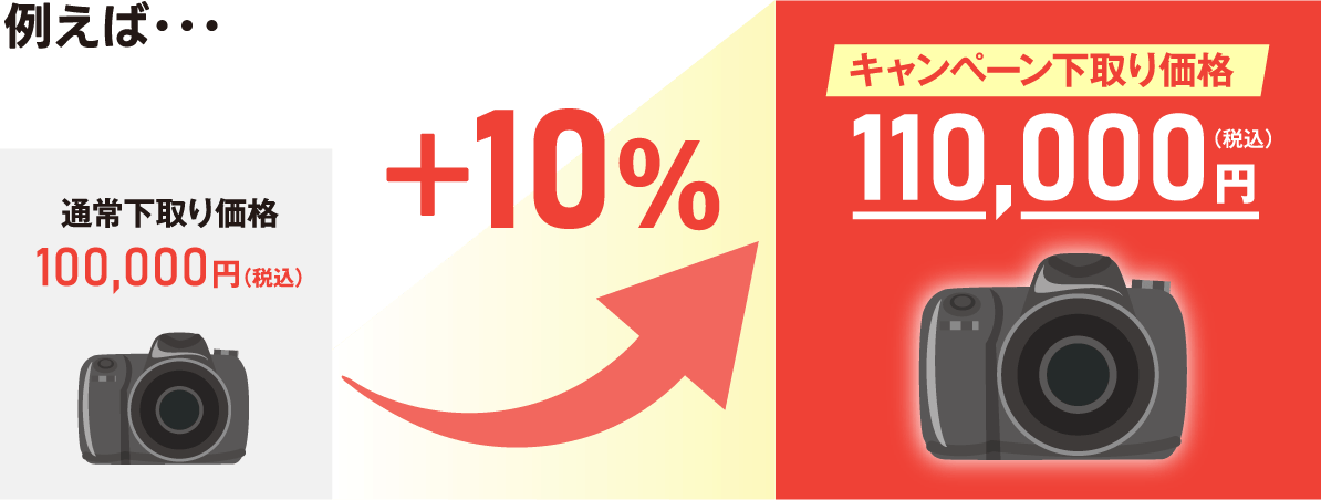 �Ⴆ�΁c �ʏ퉺���\�艿�i100,000�~�i�ō��j�{10�����L�����y�[�������\�艿�i110,000�~�i�ō��j
