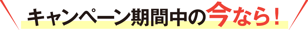 �L�����y�[�����Ԓ��̍��Ȃ�I