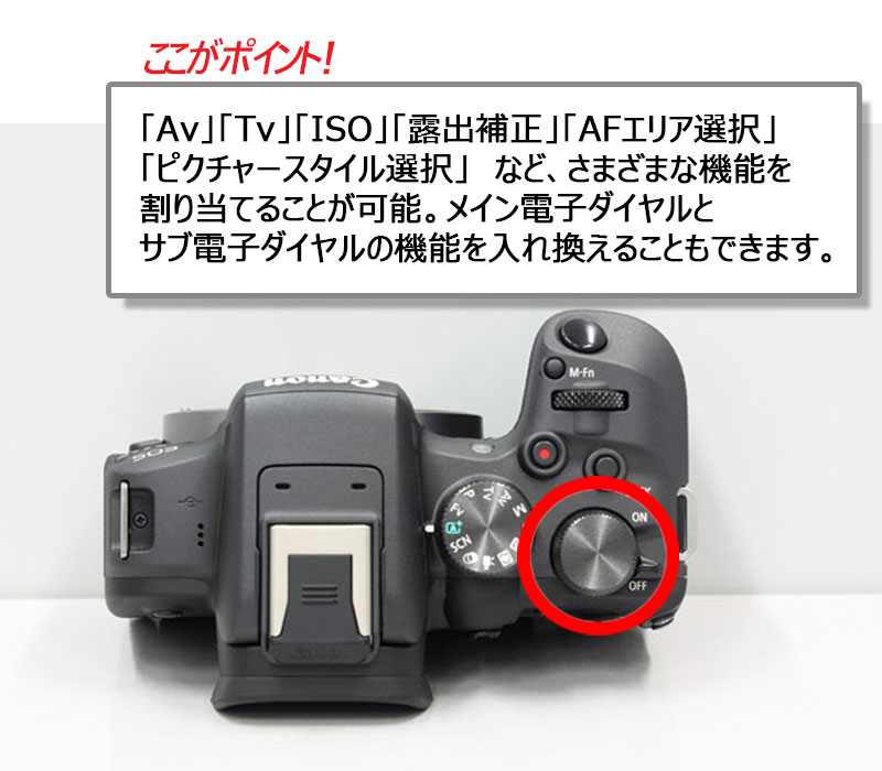 【限定セール】Canon eos R10+RF50mm F1.8 一眼レフカメラ
