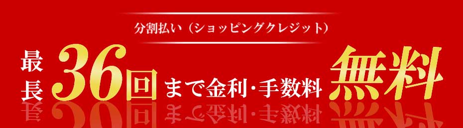 �Œ�36��܂ŁA���������i�V���b�s���O�N���W�b�g�j�̋����E�萔���������ł��B