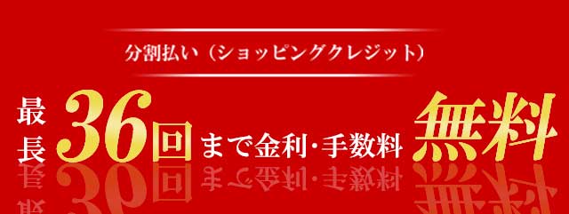 最長36回 分割払手数料無料】キヤノンオンラインショップ 分割払い