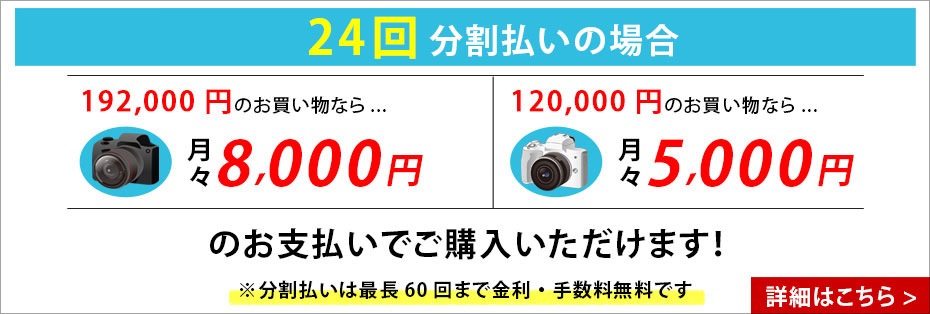 分割払い（ショッピングクレジット）24回払いの場合、300,000円のカメラが「無金利・手数料無料」で月々約12,500円のお支払いでご購入いただけます。