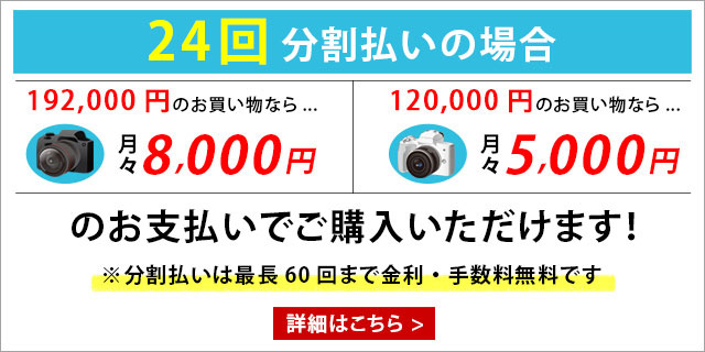 分割払い（ショッピングクレジット）24回払いの場合、300,000円のカメラが「無金利・手数料無料」で月々約12,500円のお支払いでご購入いただけます。