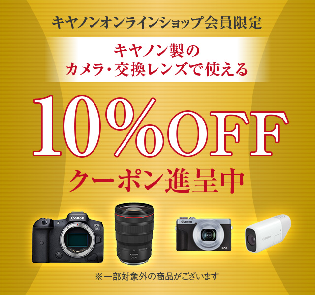 お得な特別割引価格) 【10月1日はエントリーでポイント5倍確定&先着