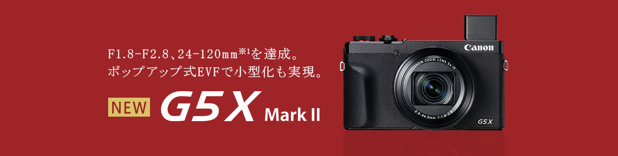 デジカメ Canon PowerShot G5X Mark2 バッグ、リモコン付