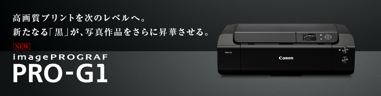 11178円 【メール便なら送料無料】 Canon PIXUS PRO-1プリンター用純正インク PGI-39 12本