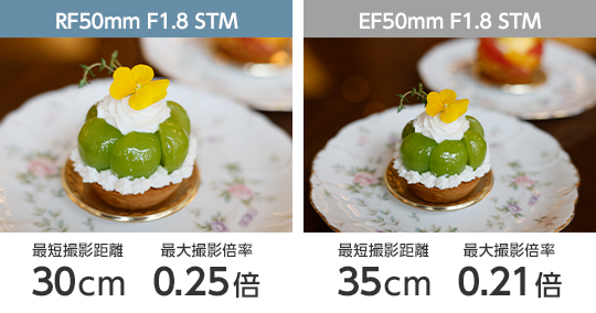 RFレンズ RF50mm F1.8 STM+プロテクターセット【23年冬：3,000円分