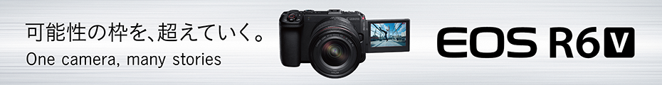 EOS R6 V