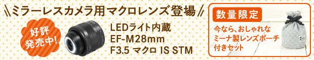 数量限定セット