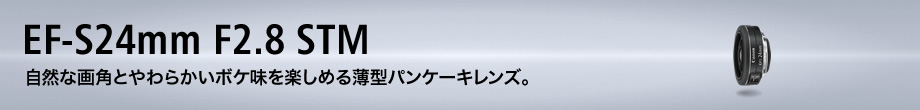 EF-S24mm F2.8 STM □納期約2ヶ月:交換レンズ 通販｜キヤノン