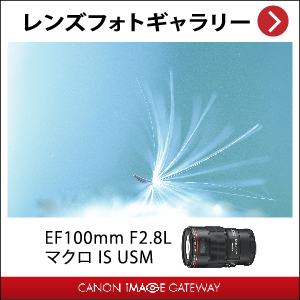 Canon EF100F2.8Lマクロ IS USM