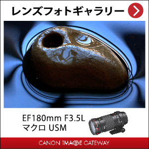 Canon EF180mm F3.5L マクロ USM