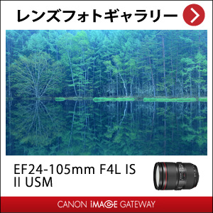 EF24-105mm F4L IS II USM ：販売ページ｜キヤノンオンラインショップ