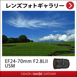 Canon  レンズ EF24-70F2.8L 2 USM