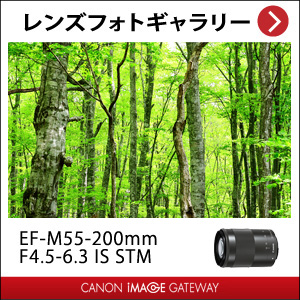 美品　Canon EF-M55-200F4.5-6.3 IS STM ブラック