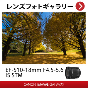 初めてのレンズセット】EF-S10-18mm F4.5-5.6 IS STM＋