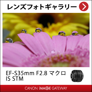 販売終了】EF-S35mm F2.8 マクロ IS STM:交換レンズ 通販｜キヤノン