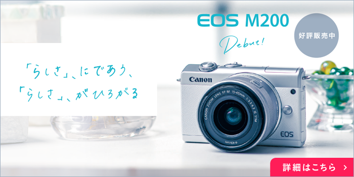 カメラ デジタルカメラ ☆Wi-Fi スマホ転送楽々☆高機能ミラーレス ☆キャノン EOS M100-