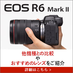 EOS R6 Mark IIレビュー