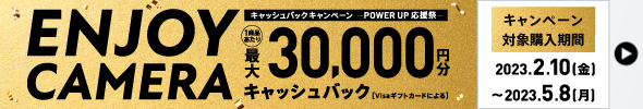 LbVobNLy[-2023t-