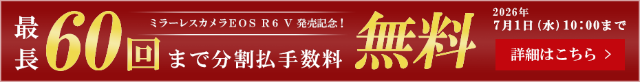 EOS R6 V�������L�����y�[��