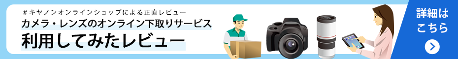 ����背�r���[���`�F�b�N
