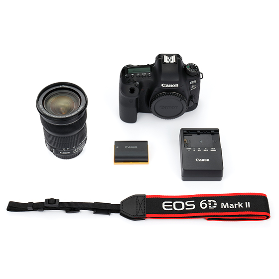 販売終了】EOS 6D Mark II・EF24-105 IS STM レンズキット:一眼レフ