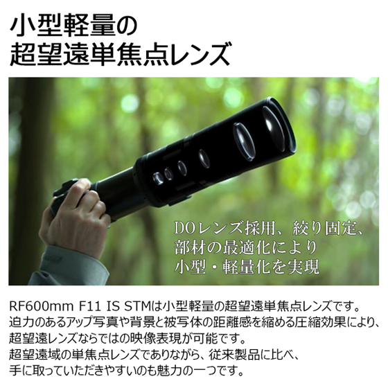 RFレンズ RF600mm F11 IS STM+PLフィルターセット 納期約2ヶ月:交換レンズ 通販｜キヤノンオンラインショップ