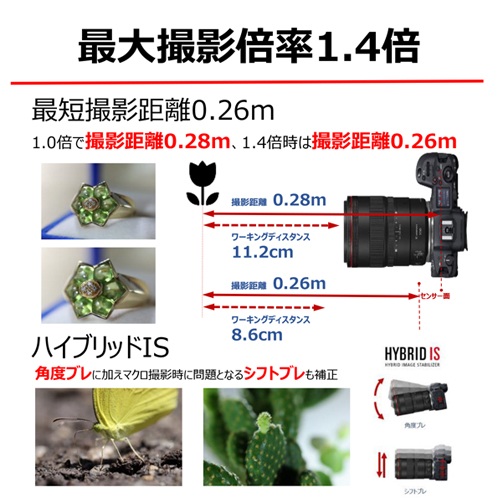 RFレンズ RF100mm F2.8 L MACRO IS USM：通販｜キヤノンオンラインショップ