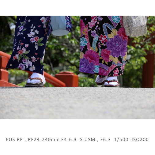 RFレンズ RF24-240mm F4-6.3 IS USM 【23年夏：5,000円分ｷｬｯｼｭﾊﾞｯｸ対象 